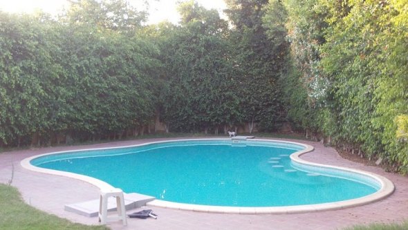 Egypt Vacation Rental 