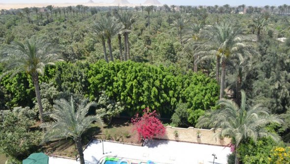 Egypt Vacation Rental 