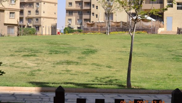 Egypt Vacation Rental Bungalow