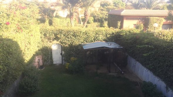Egypt Vacation Rental Studio