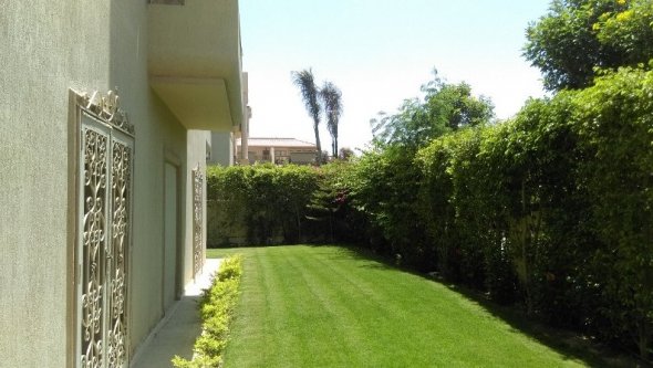 Egypt Vacation Rental 