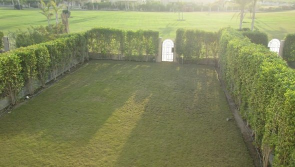 Egypt Vacation Rental Studio