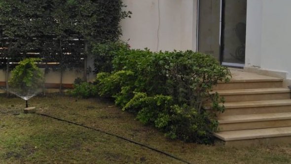 Egypt Vacation Rental Studio