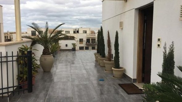 Egypt Vacation Rental Bungalow