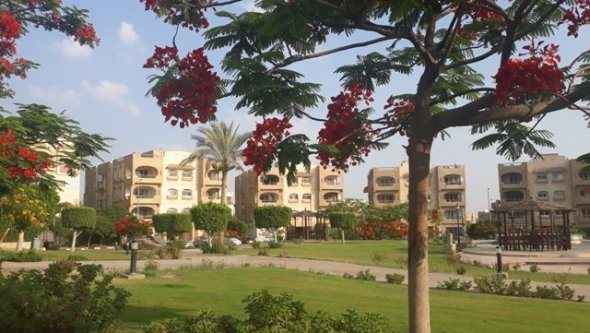 Egypt Vacation Rental Bungalow