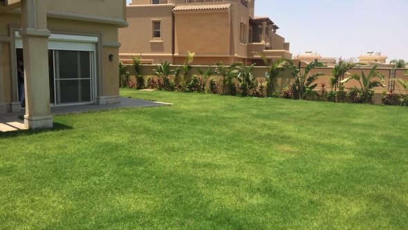 Egypt Vacation Rental Studio