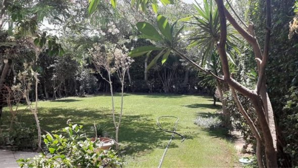 Egypt Vacation Rental 