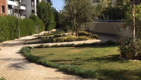 Egypt Vacation Rental Bungalow