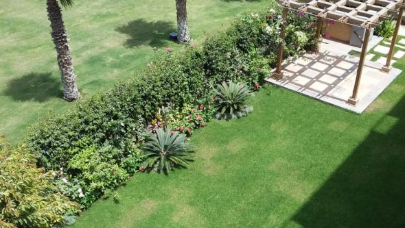 Egypt Vacation Rental Bungalow