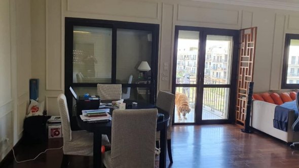 Egypt Vacation Rental 
